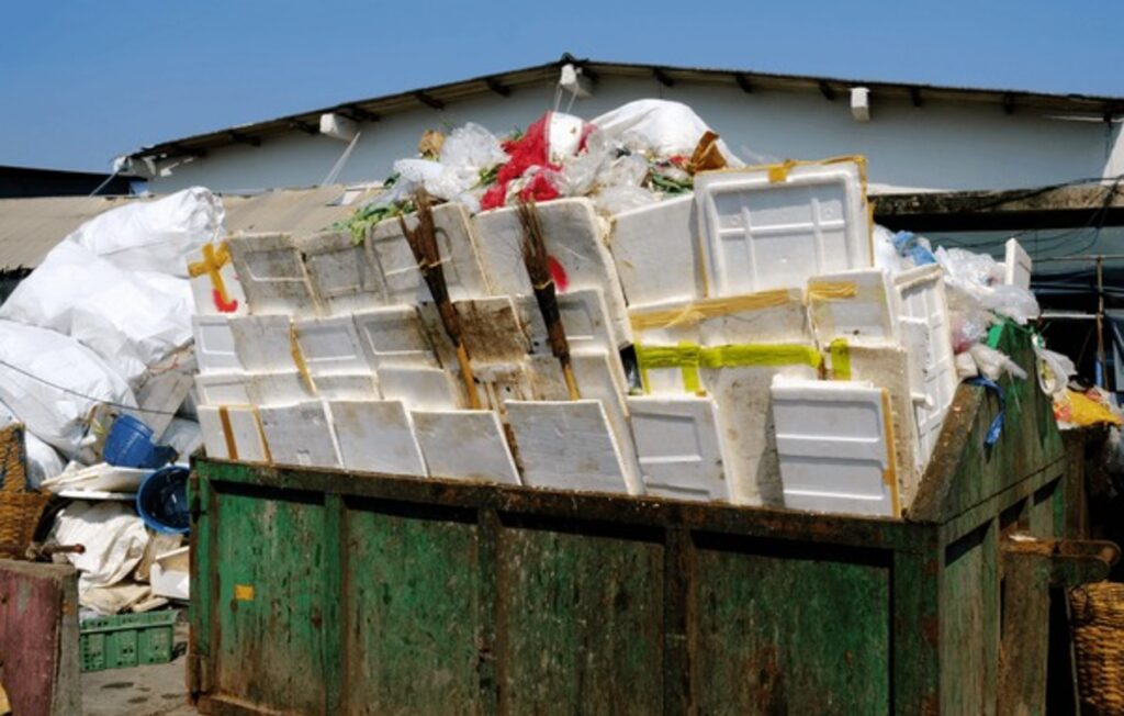shutterstock 1605014476 clean